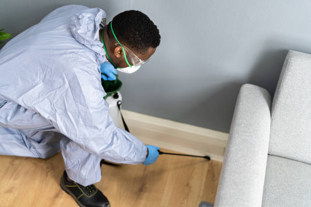 Best Bed Bug Extermination  in Homestead Valley, CA